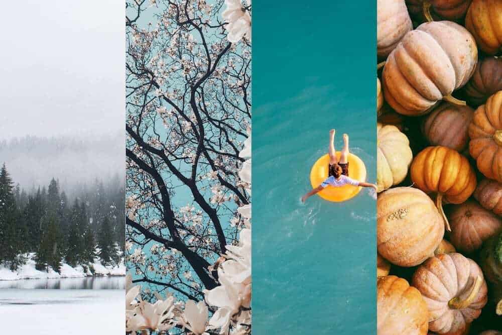 seasonality: winter, spring, summer, fall